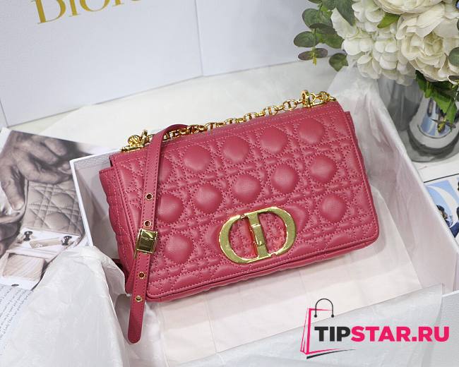 Dior medium Caro bag in pink M8017 size 25.5cm - 1