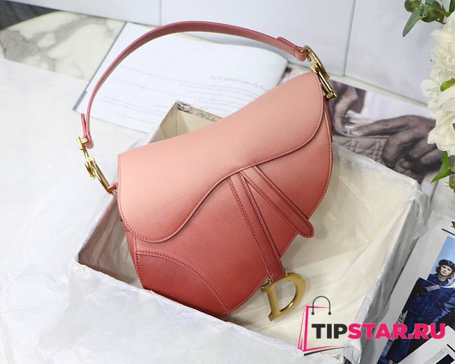 Dior Saddle bag pink gradient calfskin M9001 size 25.5cm - 1