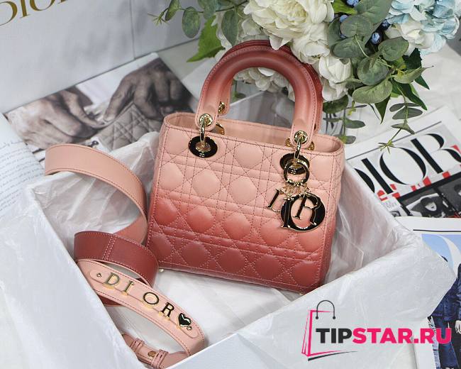 Dior Lady my ABCDIOR bag light pink gradient cannage lambskin M6016 size 20cm - 1