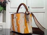 LV Capucines BB colorful striped yellow canvas M57361 27cm - 6