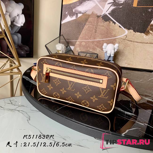 LV Pochette cite monogram PM shoulder bag M51183 21.5cm - 1