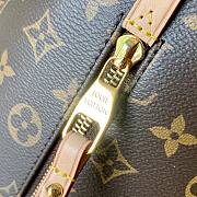 LV Delightful brown monogram shoulder bag M40354 58cm - 3