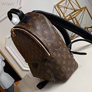 LV Palm springs MM monogram M44874 30x33x16cm - 4