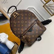 LV Palm Springs PM Monogram M44871 20cm - 1