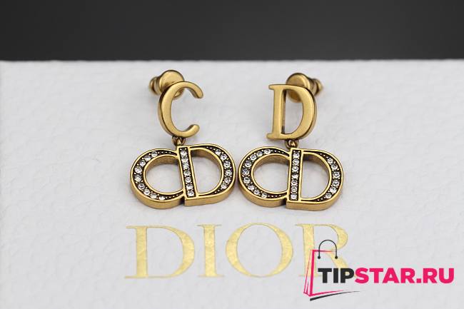 Dior earring 005 - 1