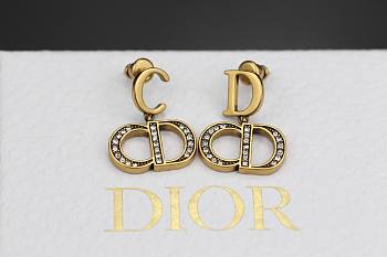 Dior earring 005