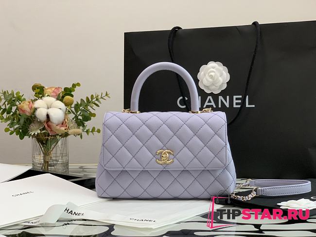 Chanel Flap Bag With Top Handle & Gold Metal In Light Purple A92990 24cm - 1