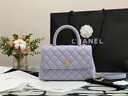Chanel Flap Bag With Top Handle & Gold Metal In Light Purple A92990 24cm - 1