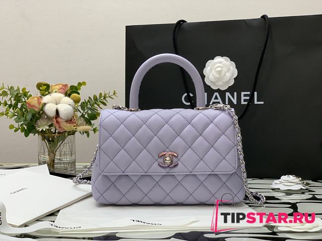 Chanel Flap Bag With Top Handle & Gradient Lacquered Metal In Light Purple A92990 24cm - 1