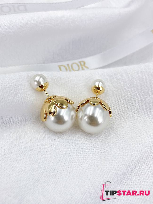 Dior earring 006 - 1
