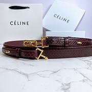 Celine belt in snakeskin 3cm - 6