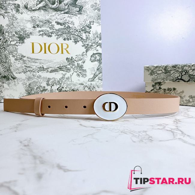 Dior Teddy-D belt beige smooth calfskin 2cm - 1