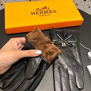 Hermes gloves 002 - 4