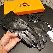 Hermes gloves 002 - 6