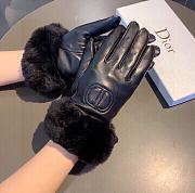 Dior gloves 000 - 4
