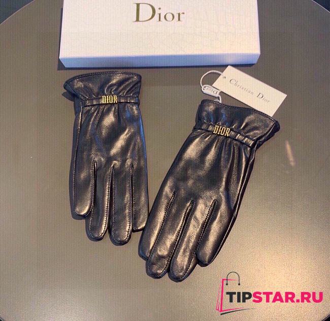 Dior gloves 001 - 1