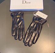 Dior gloves 001 - 1