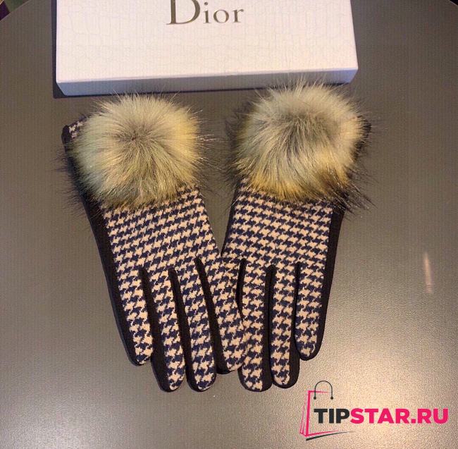 Dior gloves 002 - 1