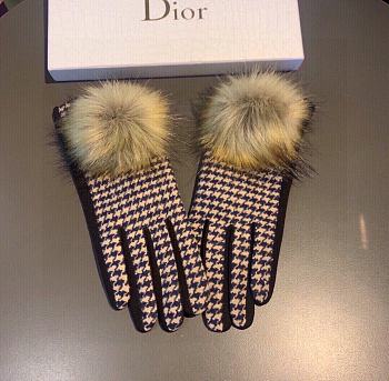 Dior gloves 002