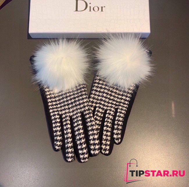 Dior gloves 003 - 1