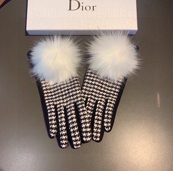 Dior gloves 003