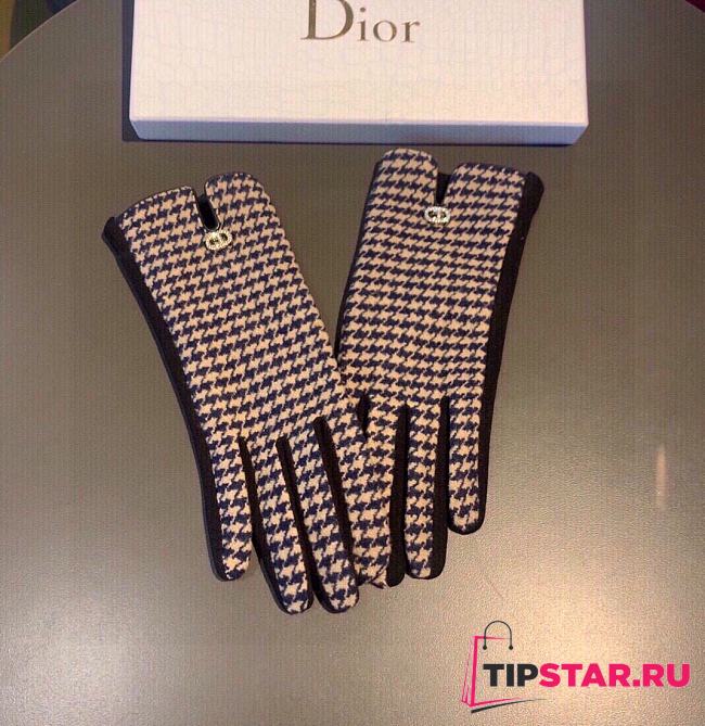 Dior gloves 004 - 1