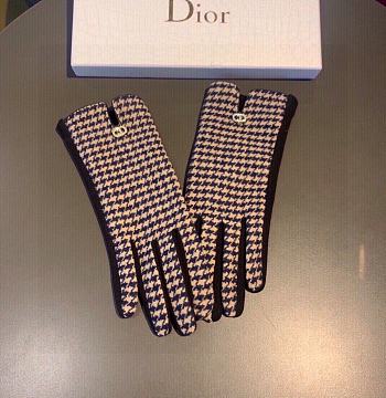 Dior gloves 004
