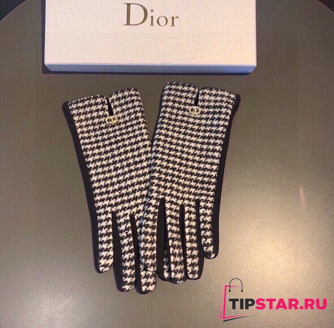 Dior gloves 005 - 1