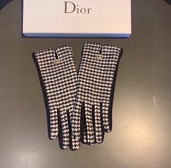 Dior gloves 005