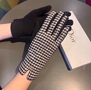 Dior gloves 005 - 6