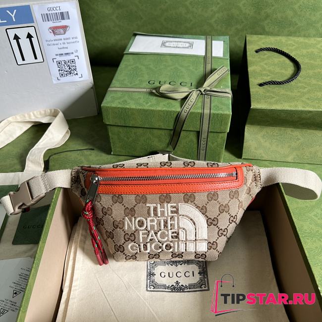 Gucci x The North Face belt bag 650299 22cm - 1