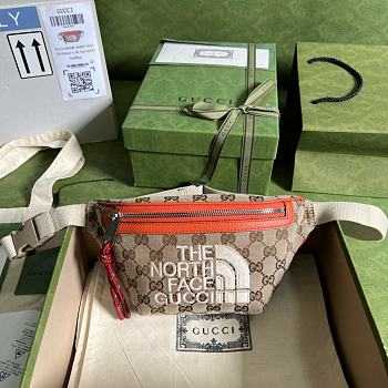 Gucci x The North Face belt bag 650299 22cm