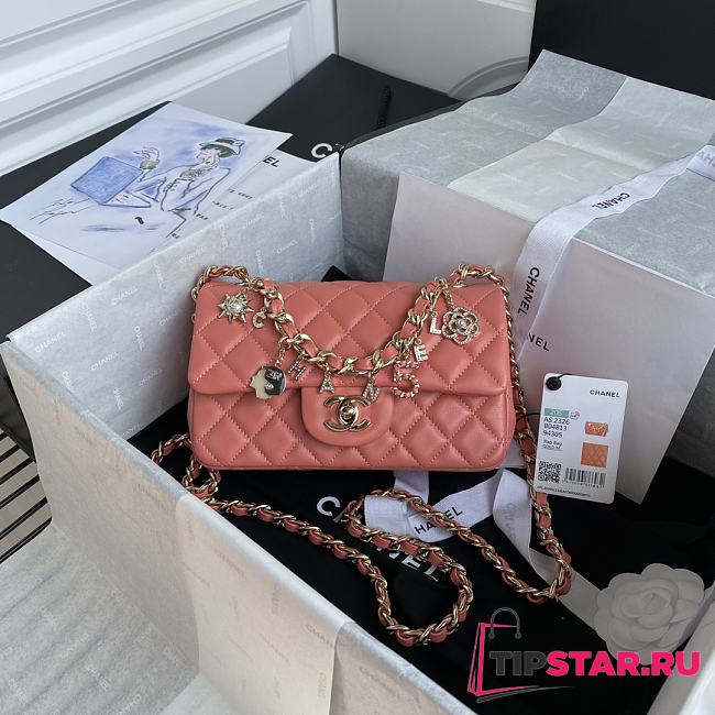 Chanel Flap bag in pink AS2326 20cm - 1
