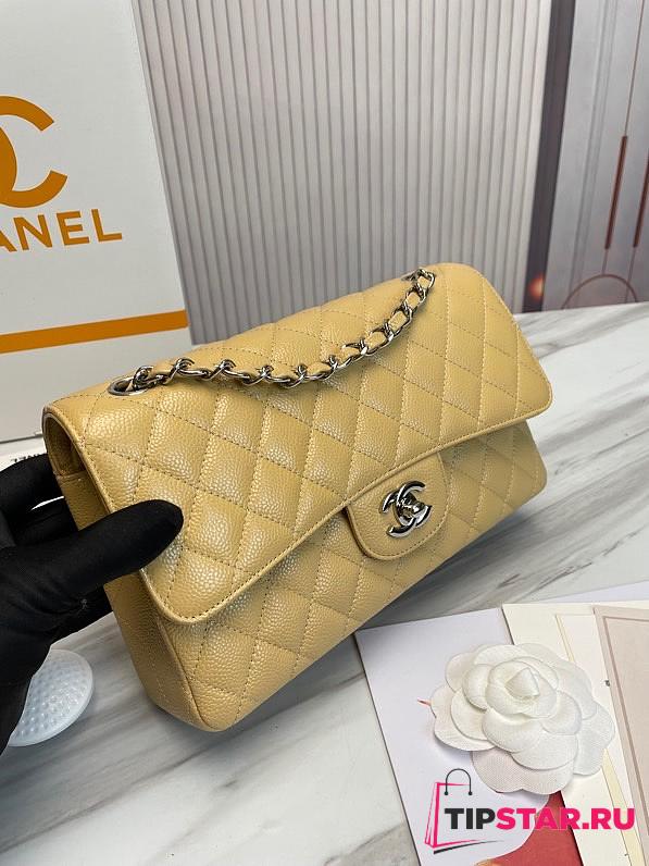 Chanel Classic handbag grained calfskin with silver-metal/dark beige A58600 25cm - 1
