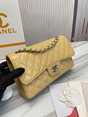 Chanel Classic handbag grained calfskin with silver-metal/dark beige A58600 25cm - 1