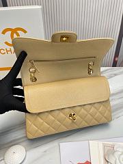 Chanel Classic handbag grained calfskin with gold-metal/dark beige A58600 25cm - 5