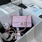 Chanel Small Flap Bag Light Pink Lambskin Gold Metal 20cm - 1