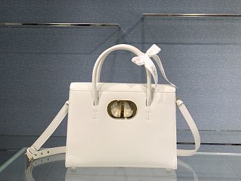 Dior ST Honoré bag in white 30cm