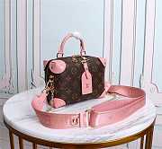 Louis Vuitton Petite Malle Souple Bag In Pink M45393 - 1