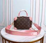 Louis Vuitton Petite Malle Souple Bag In Pink M45393 - 2