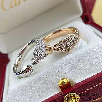 Cartier Rings Gold/Silver 002