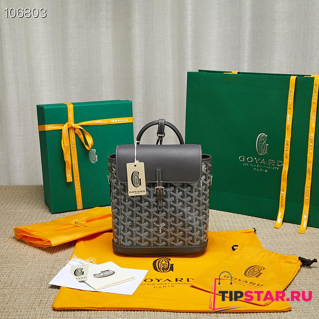 GOYARD Alpin Mini Backpack Black - 18.5x21.5x8.5cm - 1