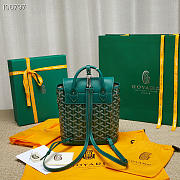 GOYARD Alpin Mini Backpack Green - 18.5x21.5x8.5cm - 6