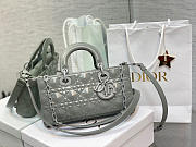 LADY D-JOY GREY BAG - M0540O - 26x13.5x5cm - 1