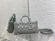 LADY D-JOY GREY BAG - M0540O - 26x13.5x5cm - 4