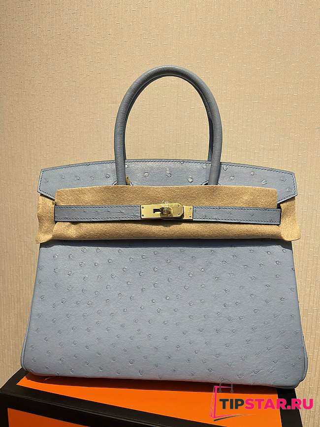 Hermes Birkin Ostrich Leather Grey 30cm - 1