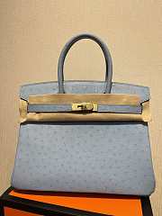 Hermes Birkin Ostrich Leather Grey 30cm - 1