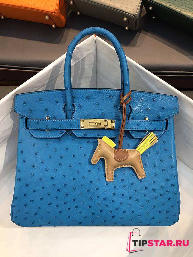 Hermes Birkin Blue Ostrich Gold Hardware 30cm - 1