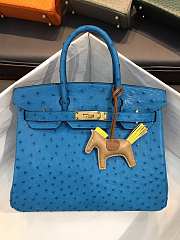 Hermes Birkin Blue Ostrich Gold Hardware 30cm - 1