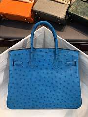 Hermes Birkin Blue Ostrich Gold Hardware 30cm - 4